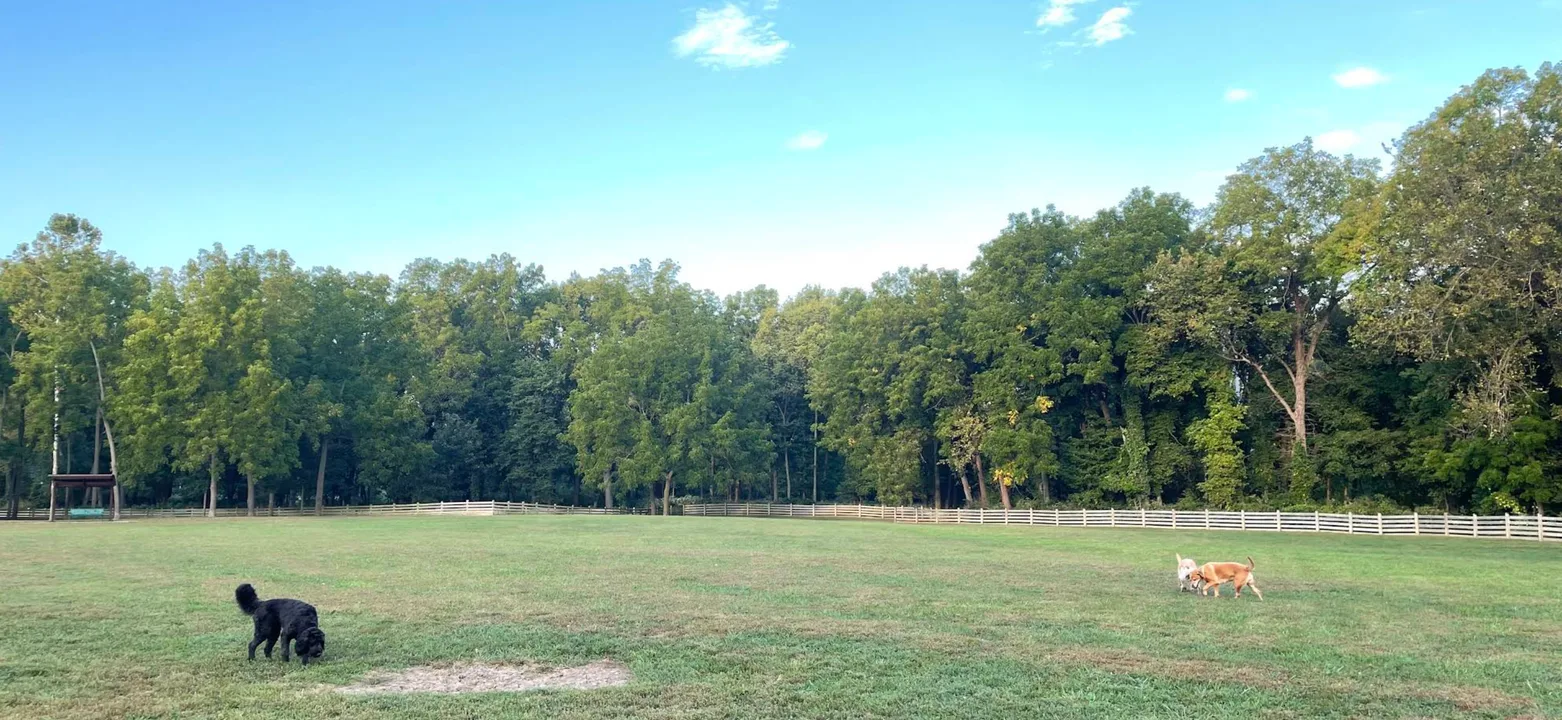 Leawoof Dog Park, Leawood, Kansas
