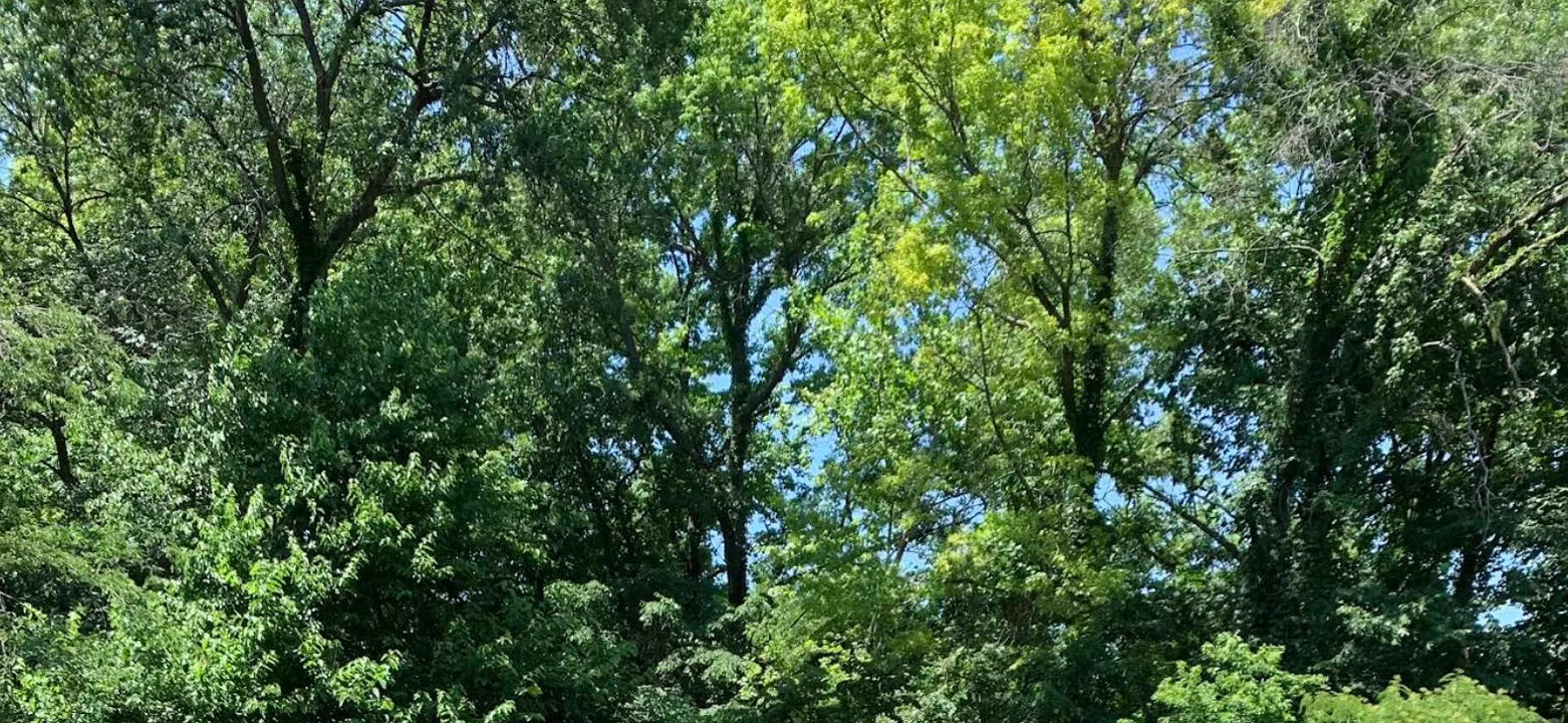 Tomahawk Park, Leawood, Kansas