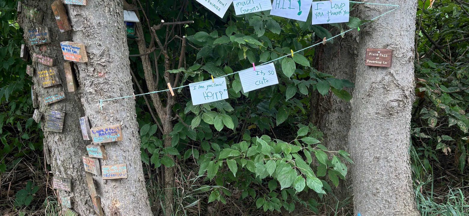 Powerline Lane: A Fairy Community, Overland Park, Kansas