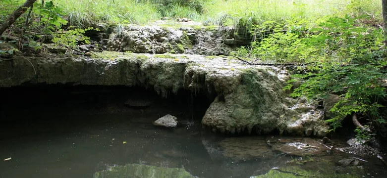 Camp Branch Glade, Overland Park, Kansas